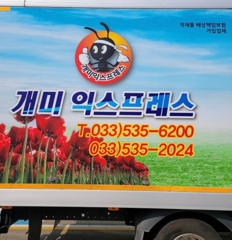 동해시 천곡동 포장이사 개미익스프레스