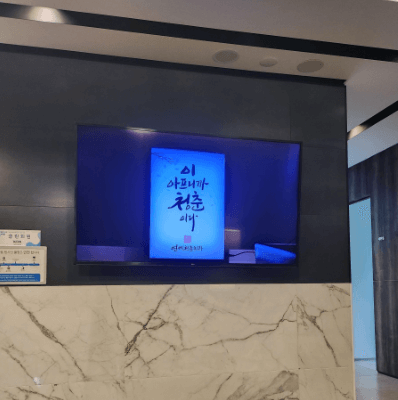 성남시 분당구 임플란트 치과