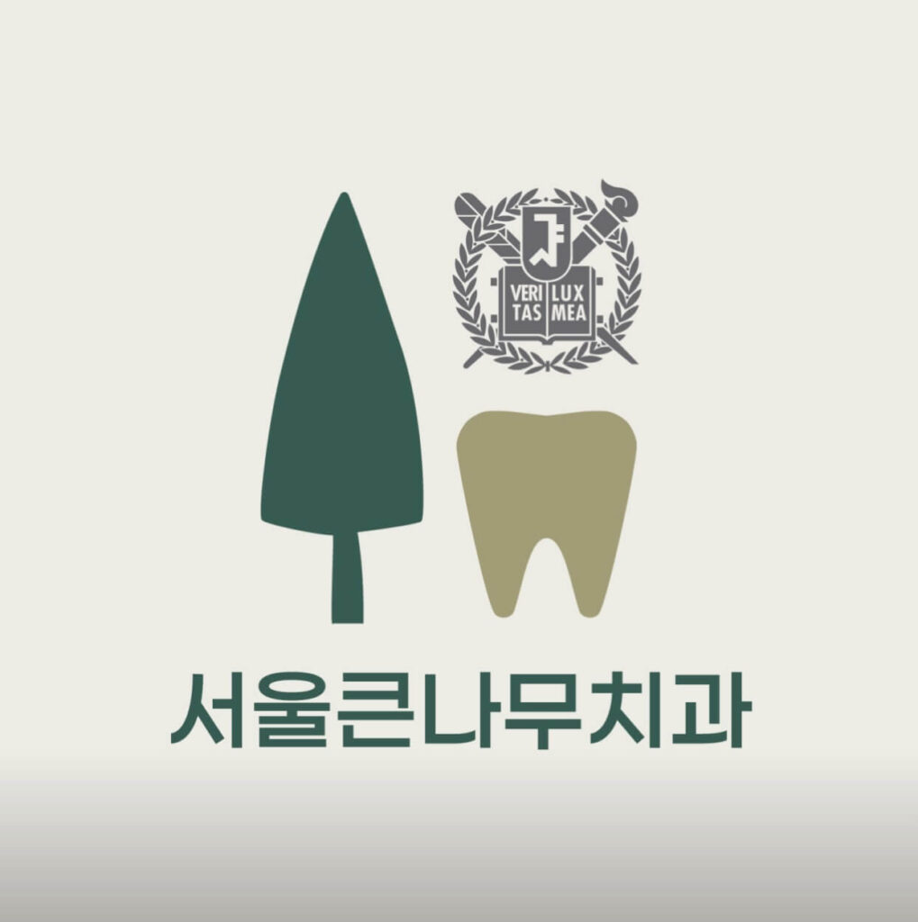 동묘앞역 임플란트 서울큰나무치과