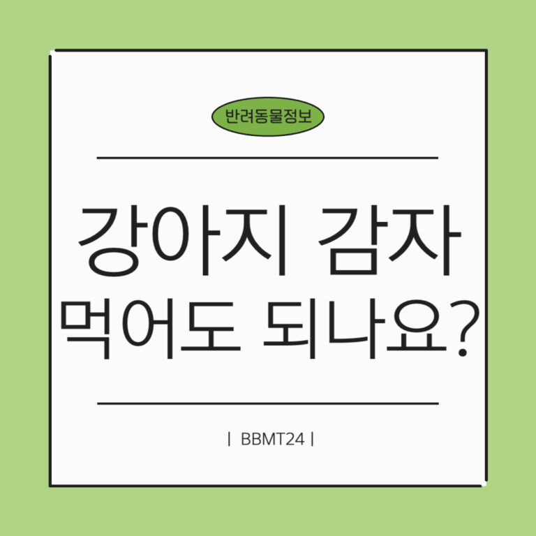 강아지-감자-썸네일
