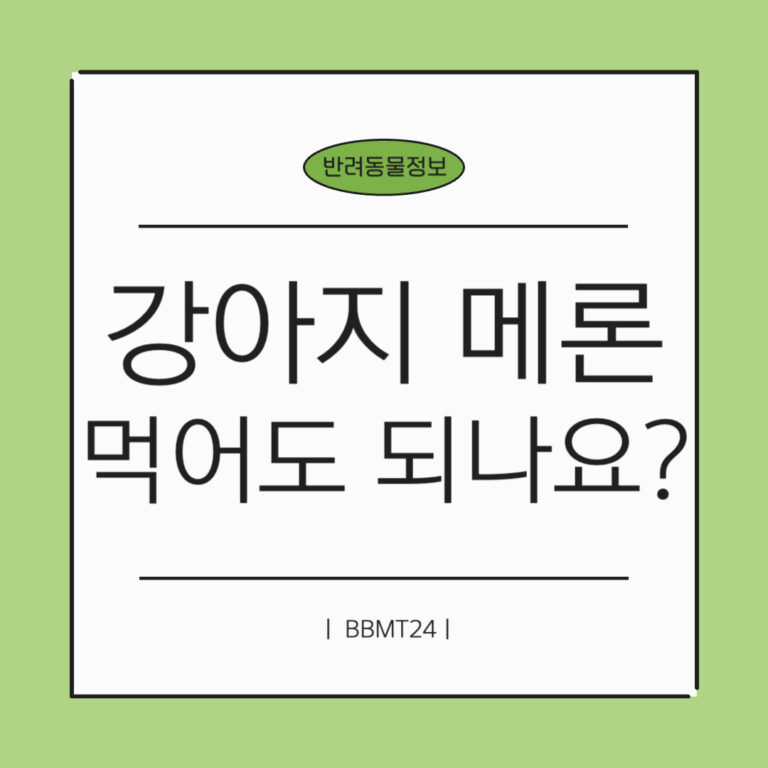 강아지-메론-썸네일