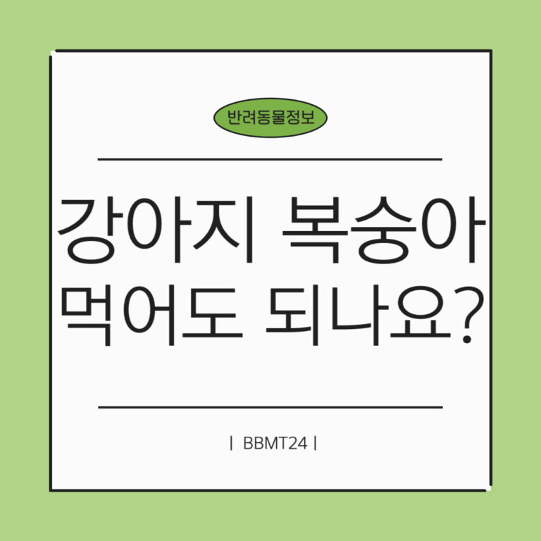 강아지-복숭아-썸네일
