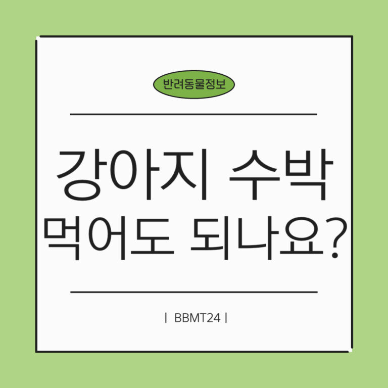 강아지-수박-썸네일