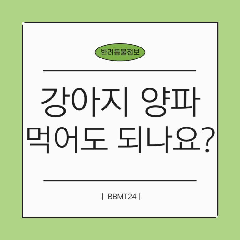 강아지-양파-썸네일