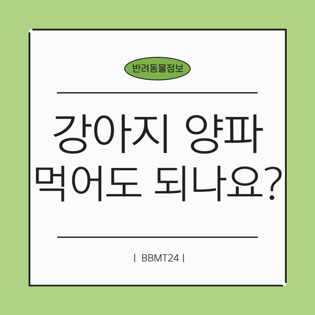 강아지-양파-썸네일