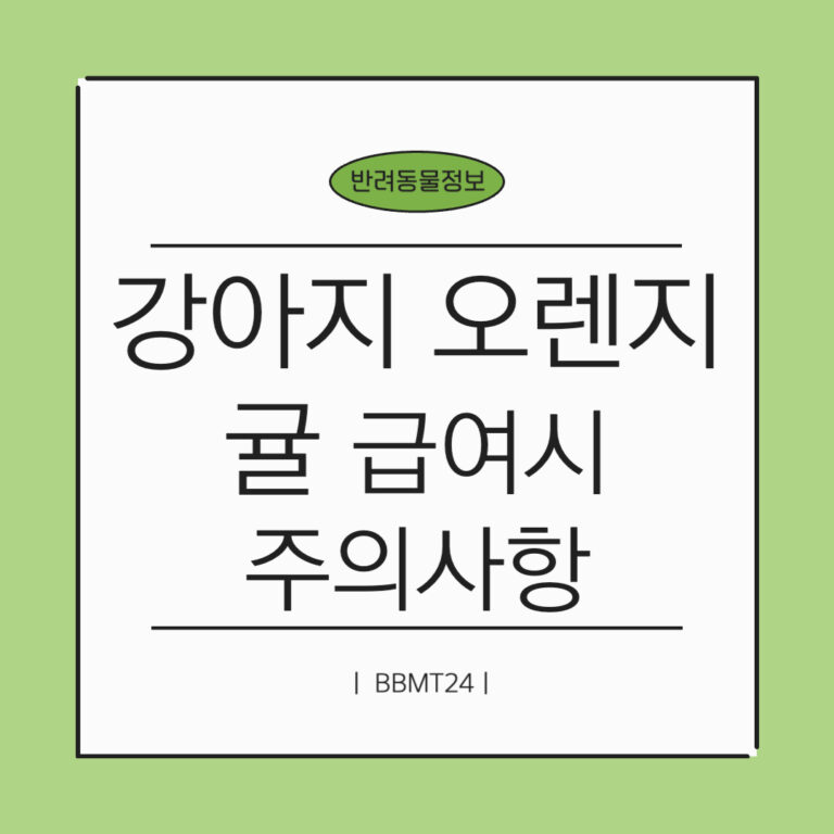 강아지-오렌지귤-썸네일