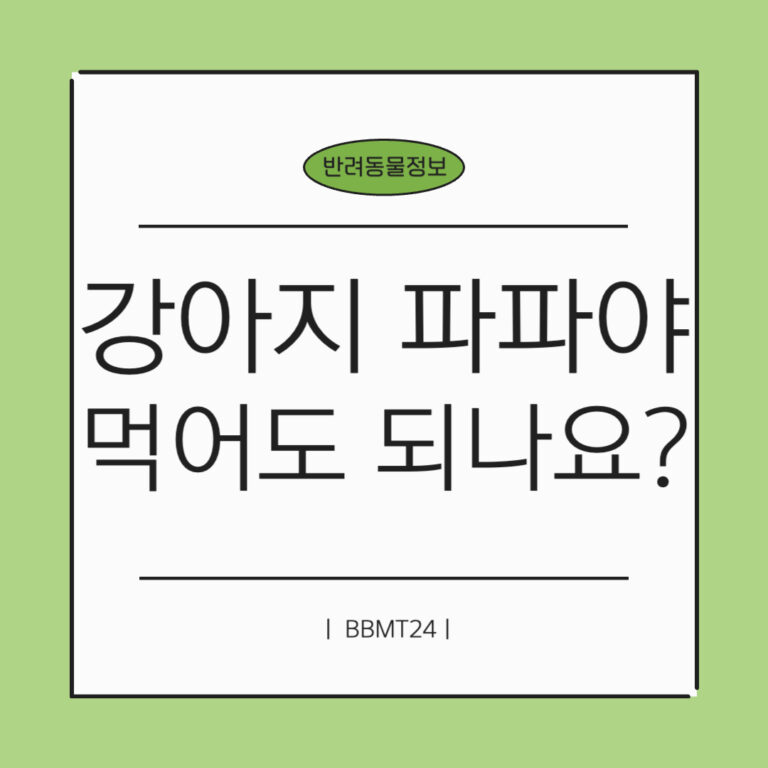 강아지-파파야-썸네일