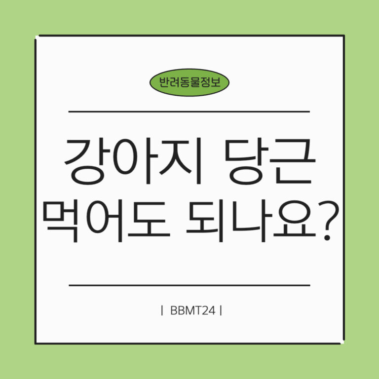 강아지-파파야-썸네일