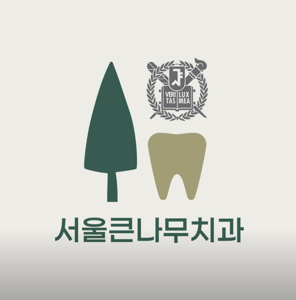 성동구 상왕십리동 임플란트 서울큰나무치과